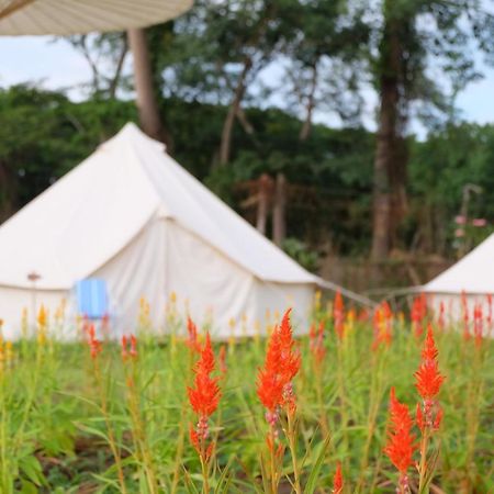 Camp Story Chiangmai Hotel Chiang Mai Exterior photo